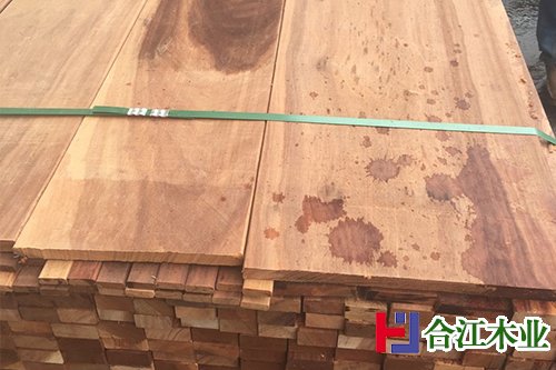 大菠萝格图片1