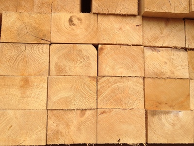 云杉工程批发价格