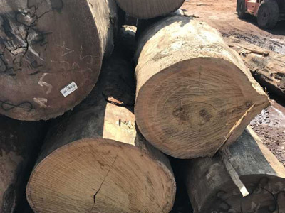 印尼菠萝格原木