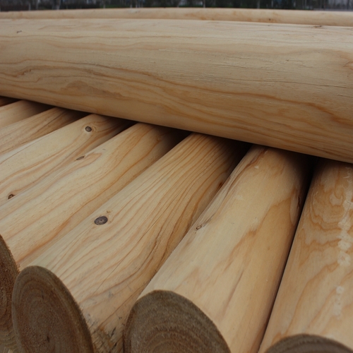 烘干圆柱的木材种类及应用领域！