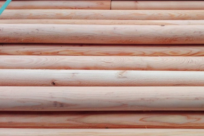 新疆花旗松圆柱