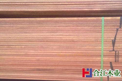 红菠萝格木图片2