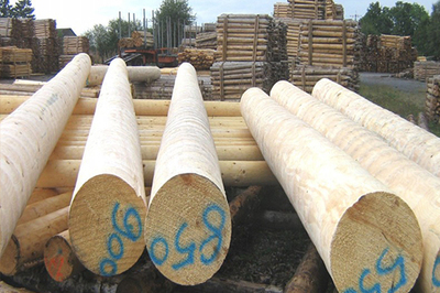 新疆云杉木圆柱